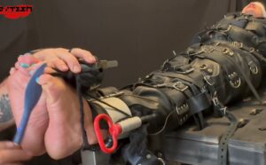 TickOLing – Lithie Table v2