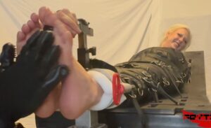 The Tickle Table - Harley Kitty